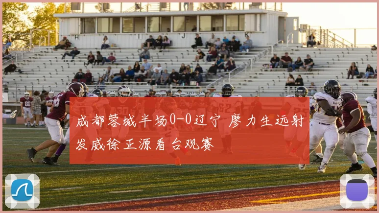 成都蓉城半场0-0辽宁 廖力生远射发威徐正源看台观赛
